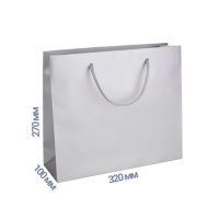 100kh270kh320-silver-front