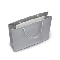 silver-pzcket2